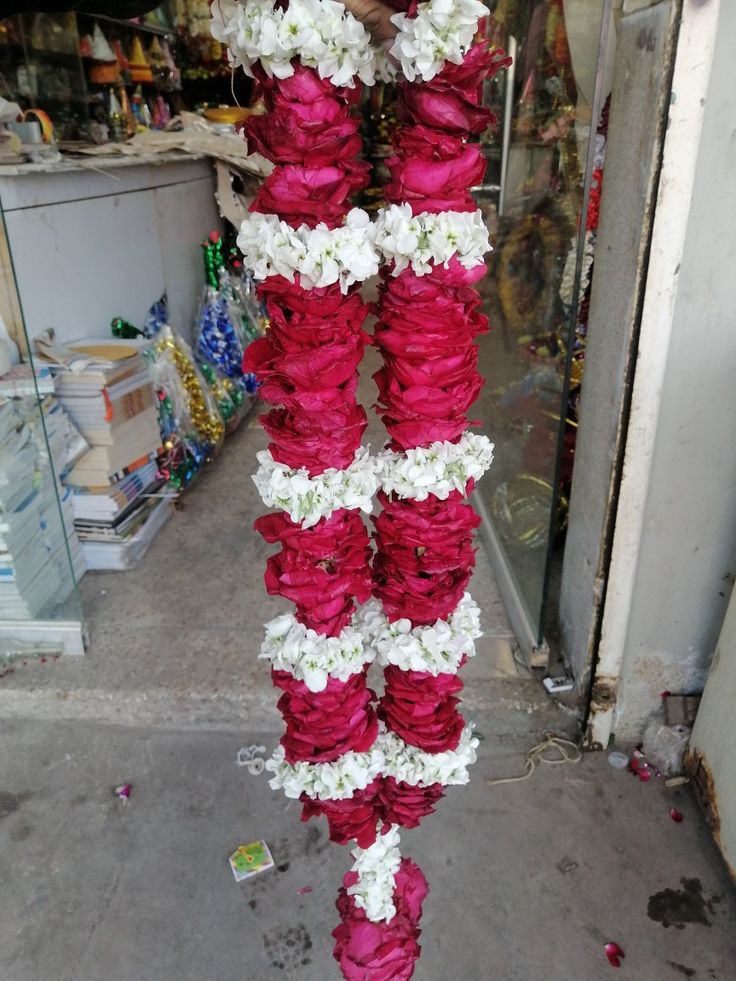 Gul-e-shabnam